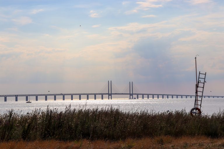 SGF Syd bjuder in till årsmöte med föredrag